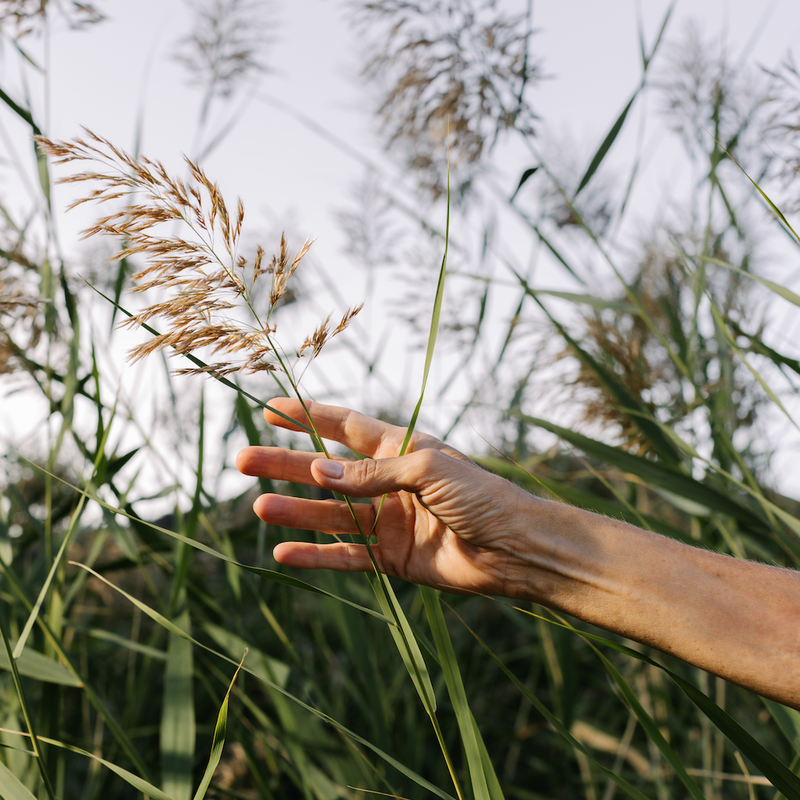 Questions fréquentes
