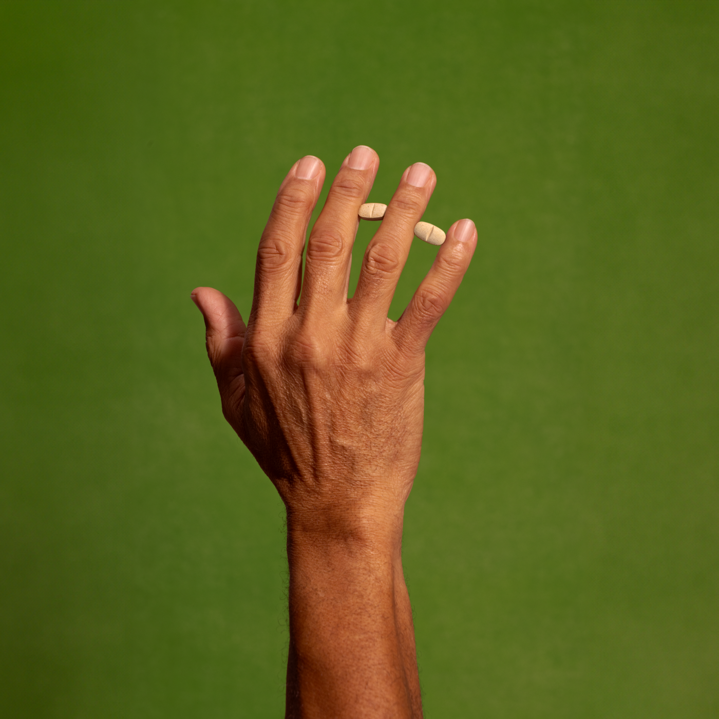 Bienvenue chez Iana !