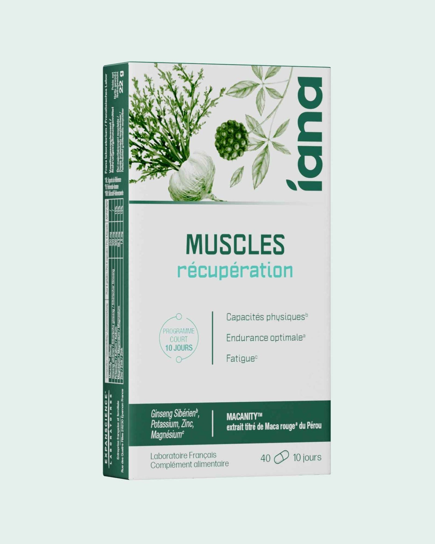 Muscles récupération - Complément alimentaire